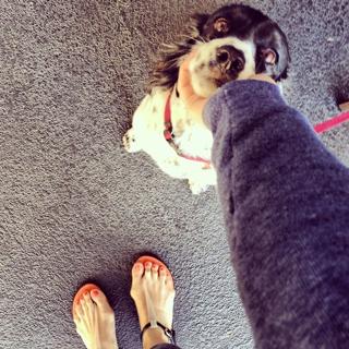 Anna Hopkins feet photo 17