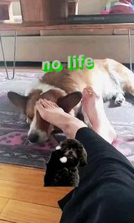 Anna Hopkins feet photo 5