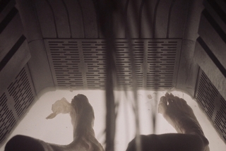 Anna Hopkins feet photo 12