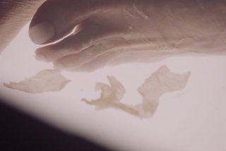 Anna Hopkins feet photo 10