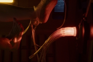 Anna Hopkins feet photo 7