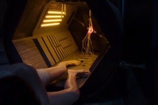 Anna Hopkins feet photo 3