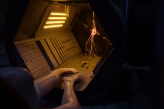 Anna Hopkins feet photo 2