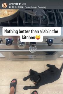 Anna Hutchison feet photo thumbnail