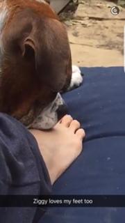 Anna Kachikyan feet photo thumbnail
