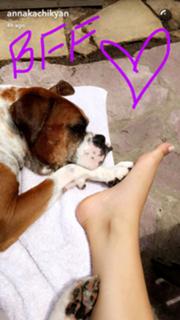 Anna Kachikyan feet photo thumbnail