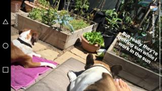 Anna Kachikyan feet photo thumbnail