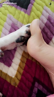 Anna Kachikyan feet photo thumbnail
