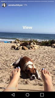 Anna Kachikyan feet photo thumbnail