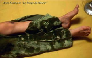 Anna Karina feet photo 4