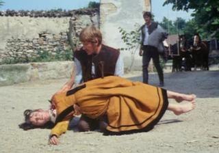 Anna Karina feet photo 19