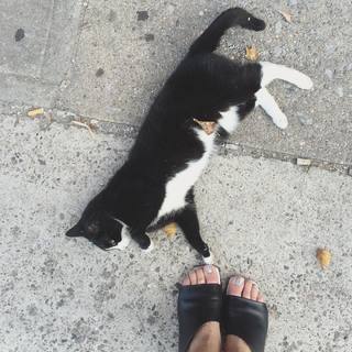 Anna Khachiyan feet photo 6