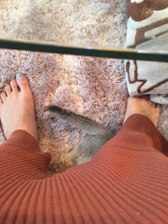 Anna Konno feet photo 20