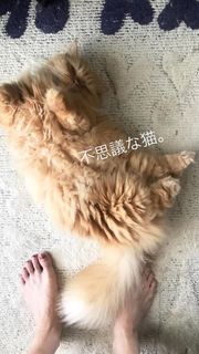 Anna Konno feet photo 12