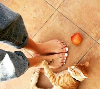 Anna Maria Velli feet photo thumbnail