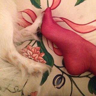Anna Nalick feet photo 9