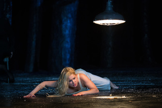 Anna Netrebko feet photo 13