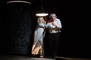 Anna Netrebko feet photo 7