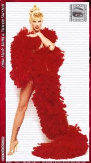Anna Nicole Smith feet photo thumbnail