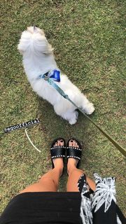 Anna Rita Cerqueira feet photo 2