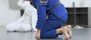 Anna Rodrigues feet photo 20