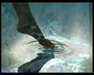 Anna Sedokova feet photo thumbnail