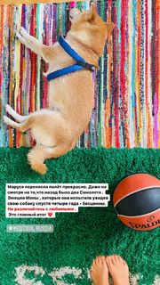 Anna Sedokova feet photo thumbnail