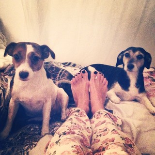 Anna Skura feet photo 10