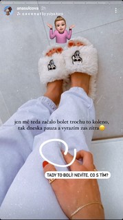 Anna Sulcová feet photo 7