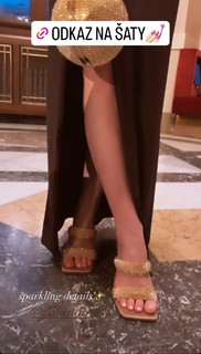 Anna Sulcová feet photo 7