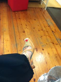Anna Tatangelo feet photo thumbnail
