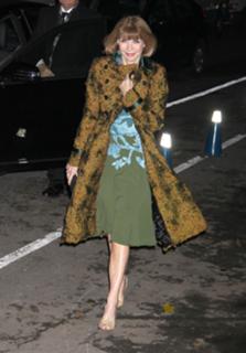 Anna Wintour feet photo 3