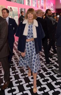 Anna Wintour feet photo 20