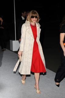 Anna Wintour feet photo 19