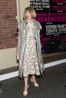 Anna Wintour feet photo 18