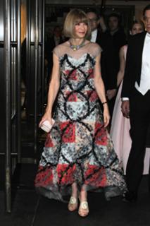 Anna Wintour feet photo 14
