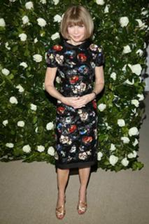 Anna Wintour feet photo 13