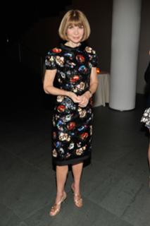 Anna Wintour feet photo 12