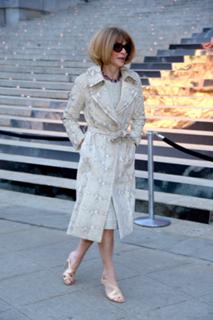 Anna Wintour feet photo 9