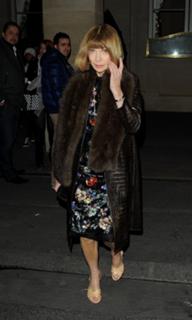 Anna Wintour feet photo 8