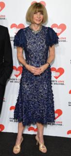 Anna Wintour feet photo 5