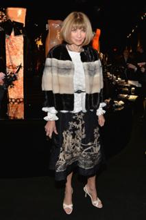 Anna Wintour feet photo 2