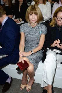 Anna Wintour feet photo 20