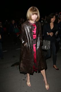 Anna Wintour feet photo 18