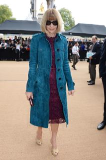 Anna Wintour feet photo 12