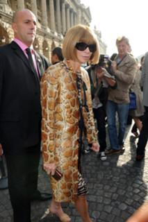Anna Wintour feet photo 13