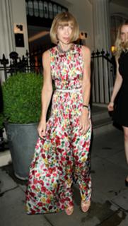 Anna Wintour feet photo 2