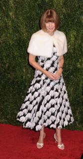 Anna Wintour feet photo 17