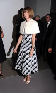 Anna Wintour feet photo 16