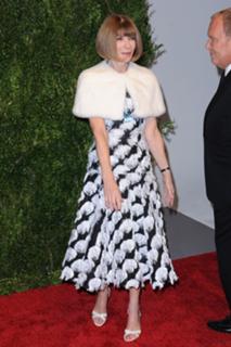 Anna Wintour feet photo 15